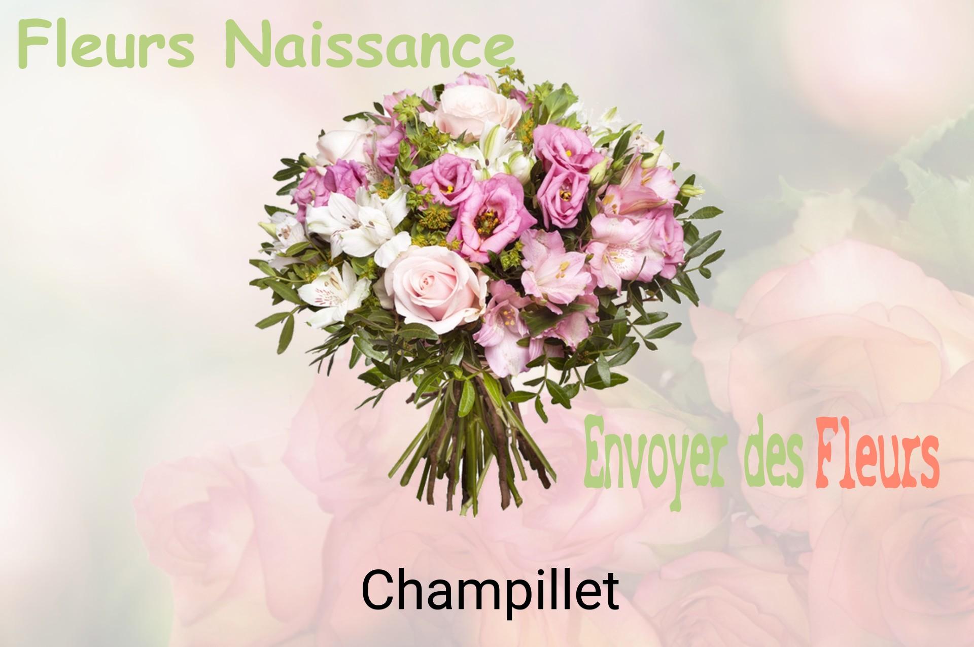Bouquet de fleurs de naissance livré à Champillet